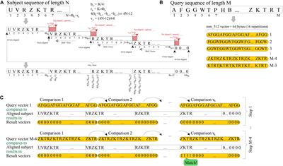 BLVector: Fast BLAST-Like Algorithm for Manycore CPU With Vectorization